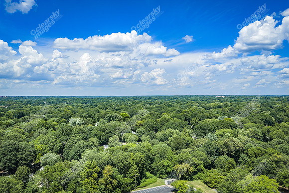 2101-rexford-pano-drn0064