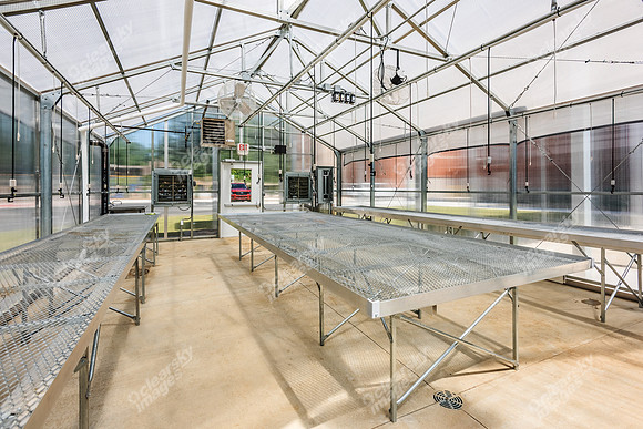 1645-w-park5693