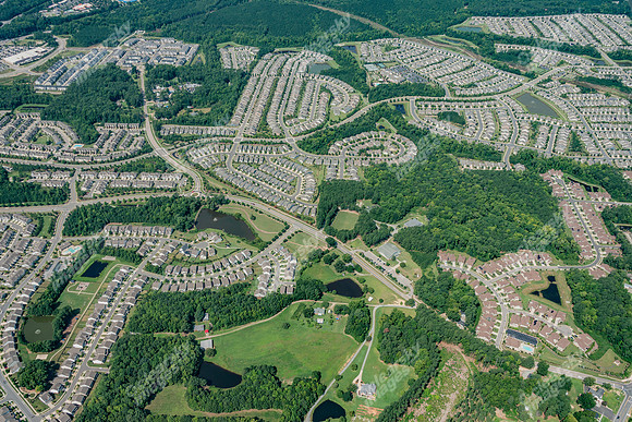 323-andrews-pln4216