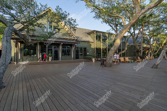4000-sea-forest-twi8960