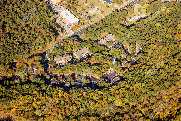 woods-bridges-aerials-7690
