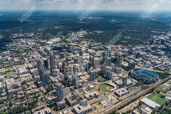 clt-cbd-0826-pln544