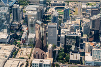 clt-cbd-0826-pln595