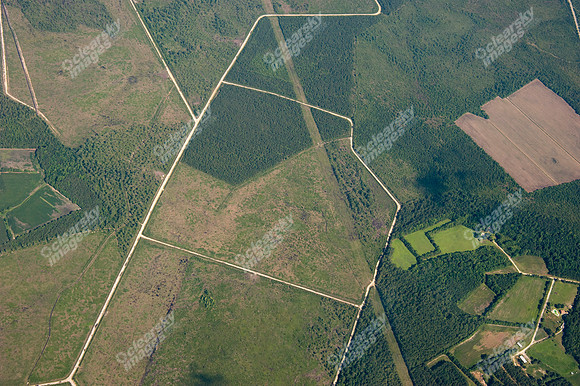 midway-land-track-436