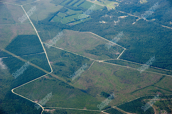 midway-land-track-385
