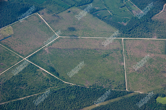 midway-land-track-346