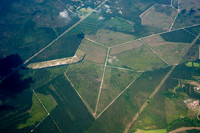 midway-land-track-331