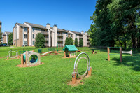 12821-meadow-ext3554