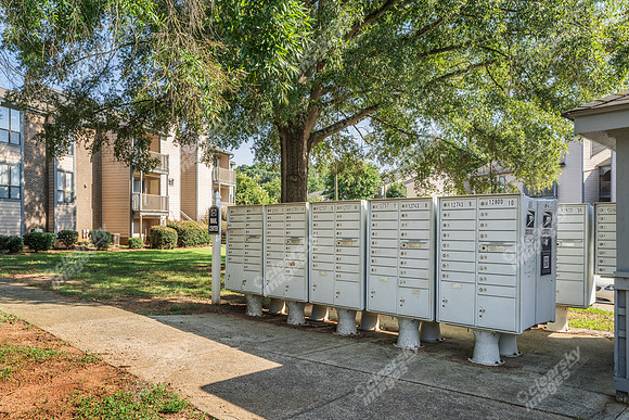 12821-meadow-ext3671