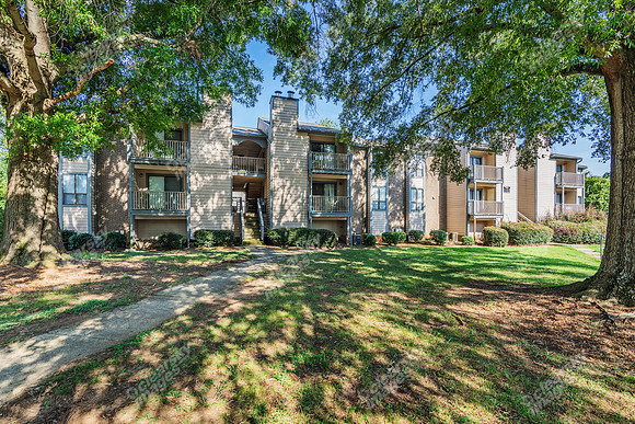 12821-meadow-ext3689