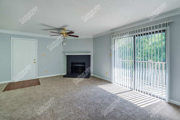 12821-meadow-int4429