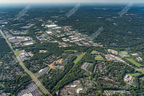2025-timber-pln001