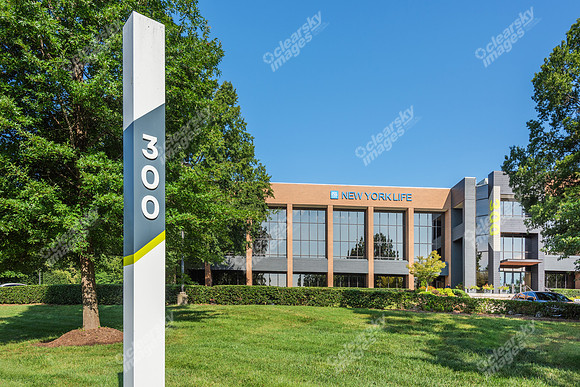 300-executive-ext9401