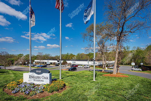8848-red-oak-ext6578