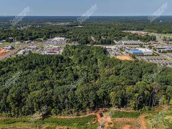 8250-charlotte-drn1044