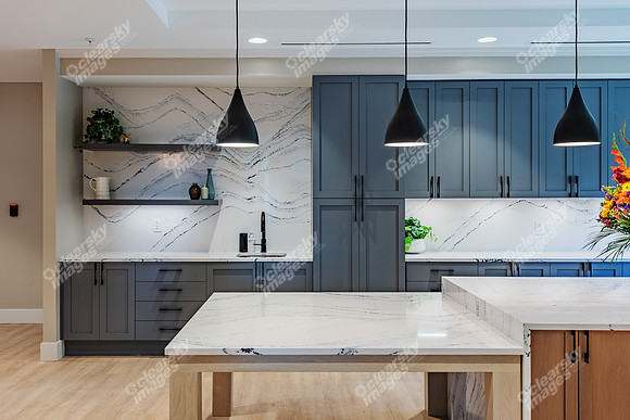 750-whippoorwill-int2902
