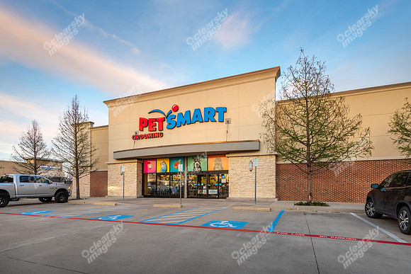 11999-dallas-twi8351