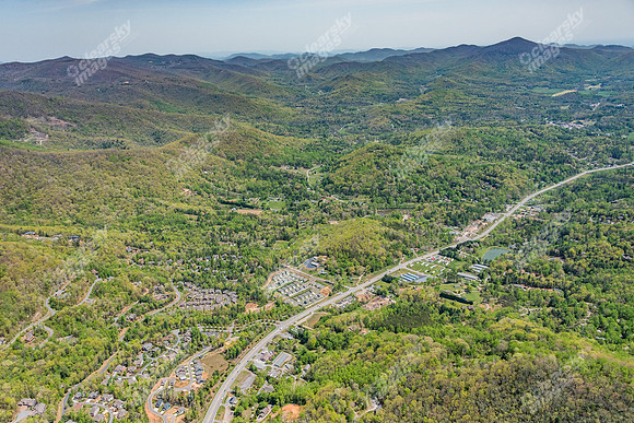 151-switchgrass-air5241