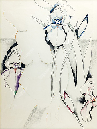 iris-and-nude-2947