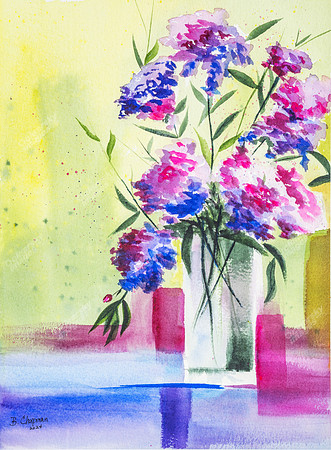hydrangea1263