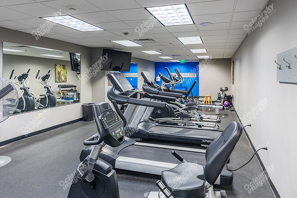 1301-gervais-int5406