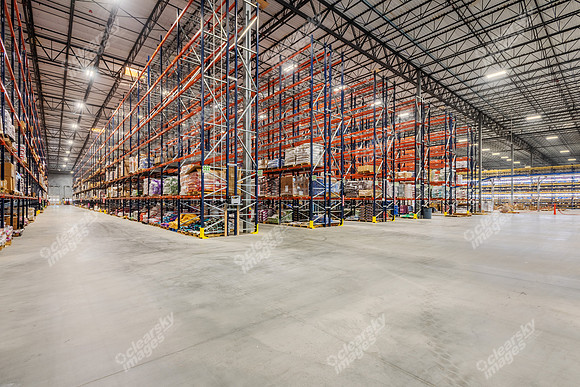 122-palmetto-int2931