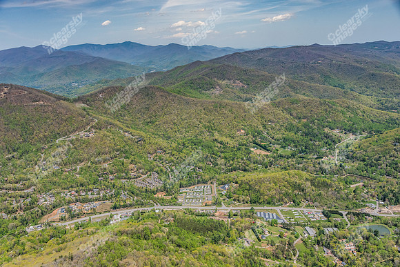 151-switchgrass-air5233