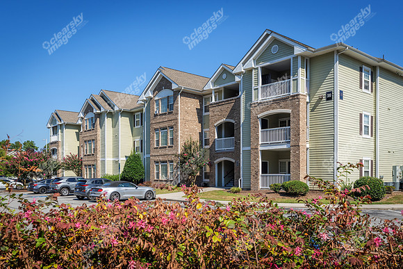 100-delaney-ext8273