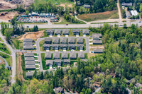 151-switchgrass-air5290
