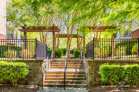 14411-calloway-ext6234