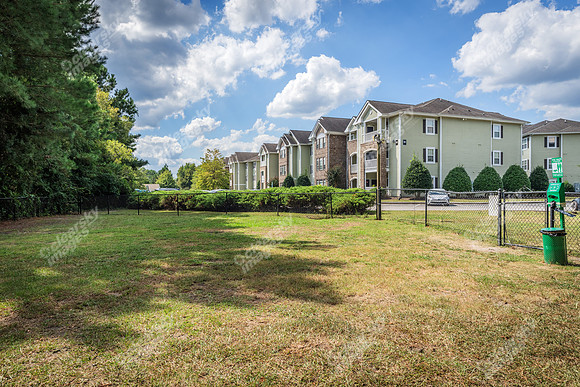 100-delaney-ext8330