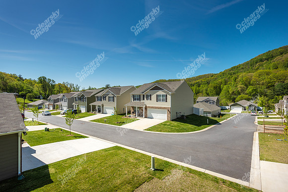 151-switchgrass-ext8458