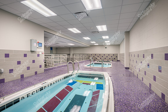 hydrotherapy-sports-med-int-5217