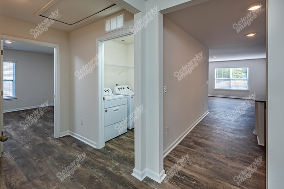 151-switchgrass-int9233