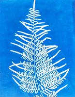 botanical-echoes-i-4132