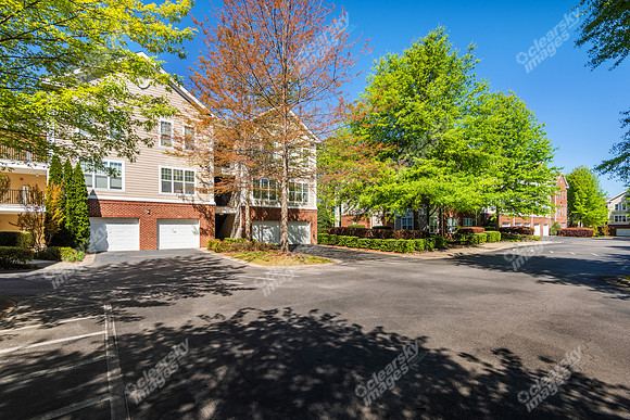 14411-calloway-ext1615