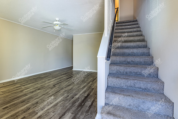 807-college-int6906