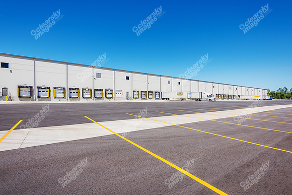 122-palmetto-ext2784