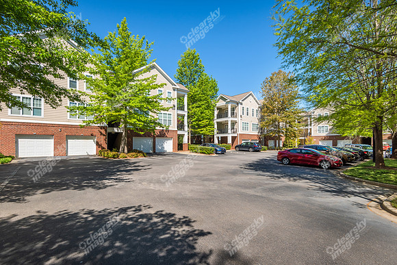 14411-calloway-ext1684