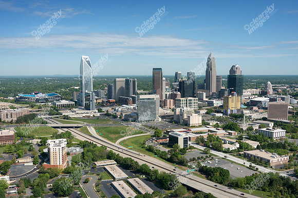 charlotte-cbd-h-0732