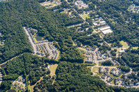 2029-harlow-pln090