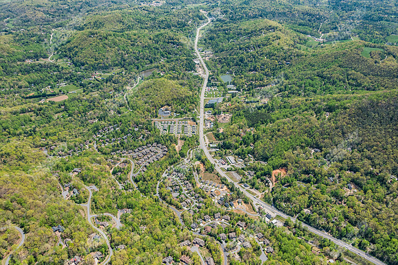 151-switchgrass-air5261