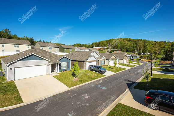 151-switchgrass-ext9065