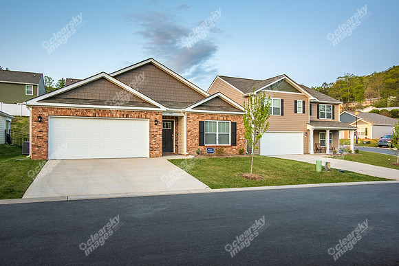 151-switchgrass-twi9508