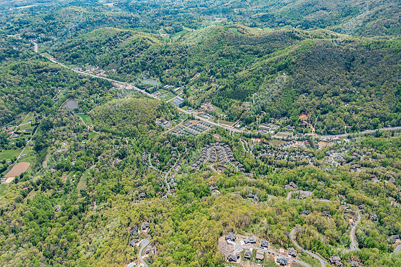 151-switchgrass-air5274