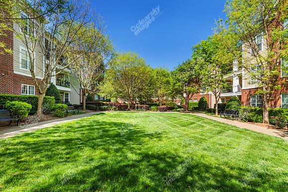14411-calloway-ext1756
