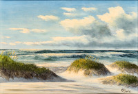 beach-scene1429