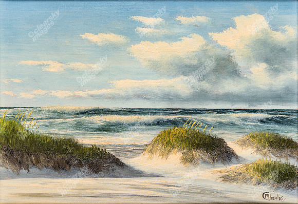 beach-scene1429