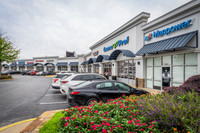 1450-dogwood-tri2602