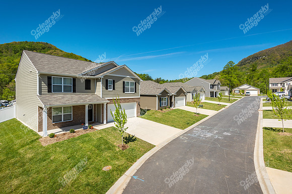 151-switchgrass-ext8518